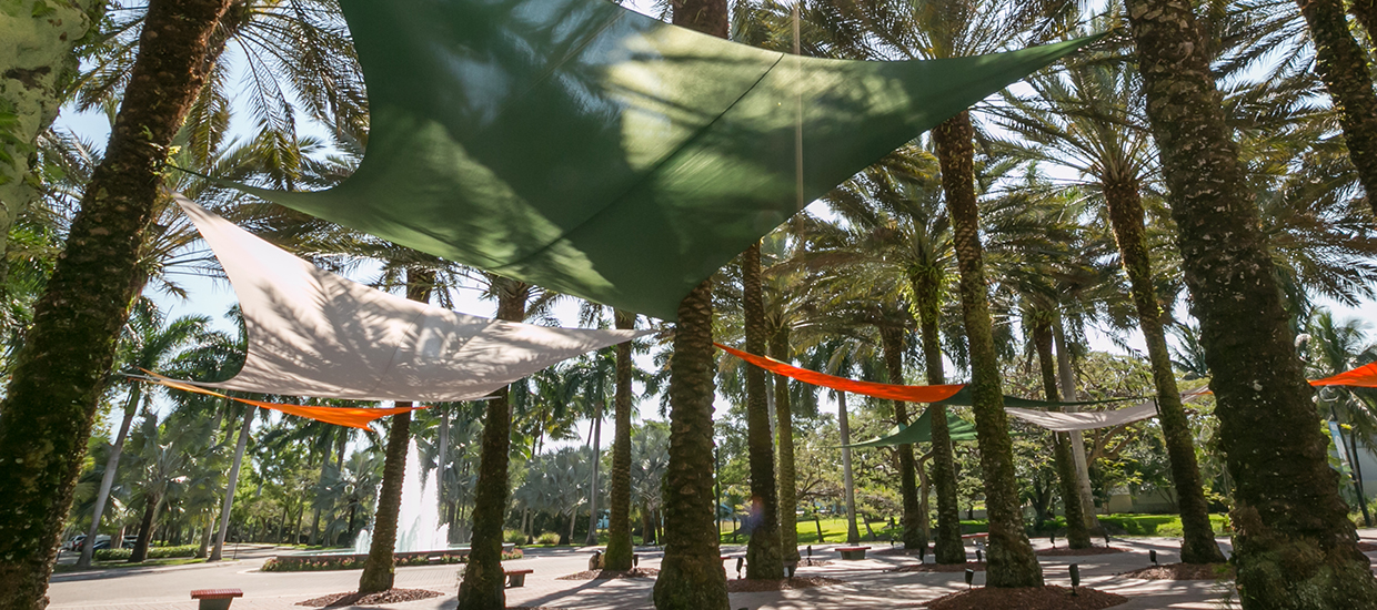 This is a courtyard area on the University of Miami Coral Gables campus. The courtyard has several palm trees with various green, orange, and white canopies suspended between them.